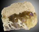 Sharp Purple on Yellow Cubic Fluorite - Cave-in-Rock, Illinois #32198-2